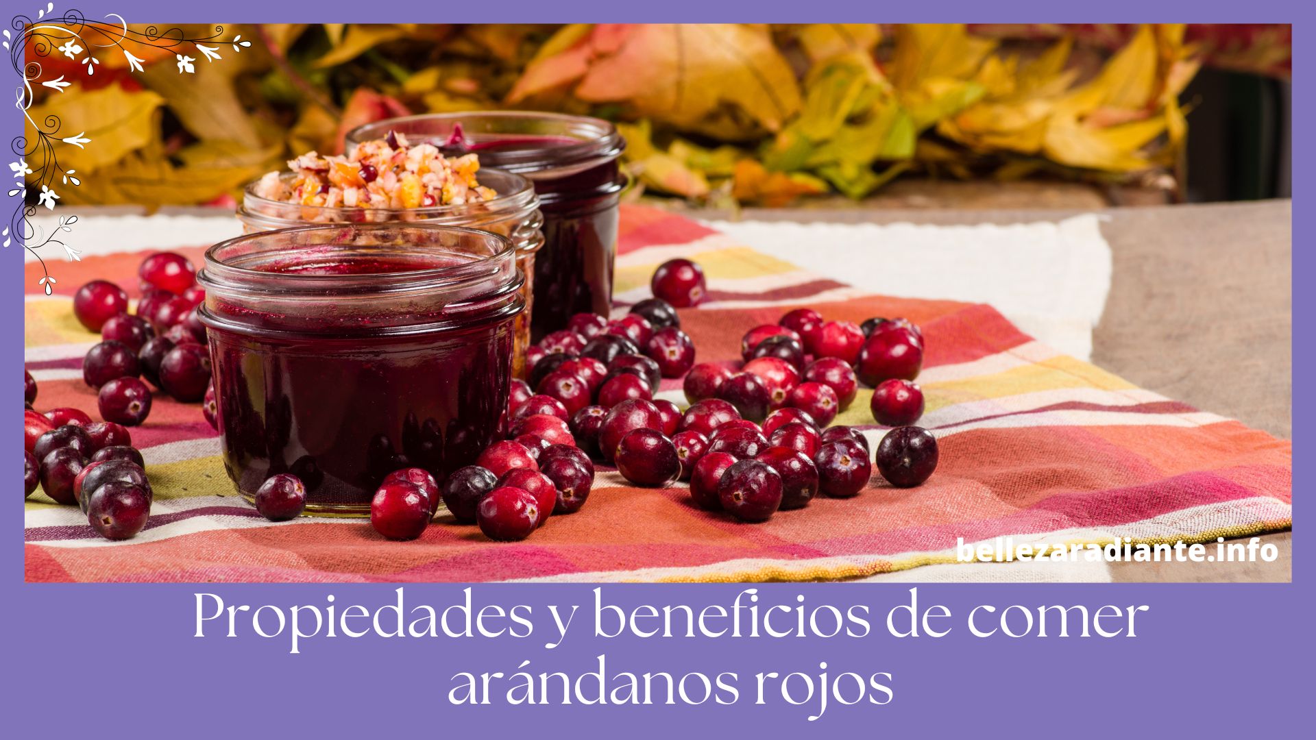 Propiedades Y Beneficios De Comer Ar Ndanos Rojos